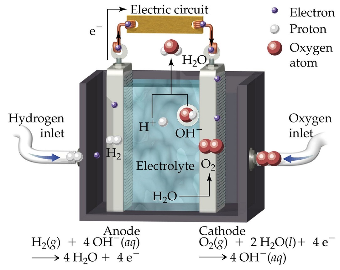 Nguyên lý hoạt động của cảm biến Fuel Cell